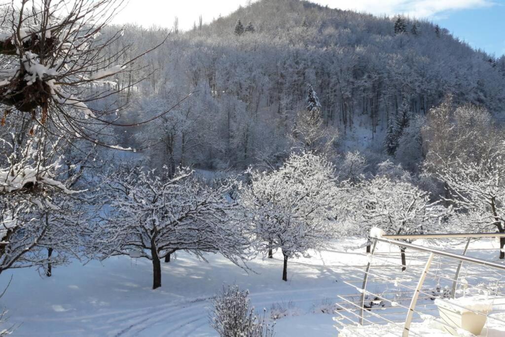 Gite "Entre Champsaur Et Valgodemard" Saint-Jacques-en-Valgodemard Екстериор снимка