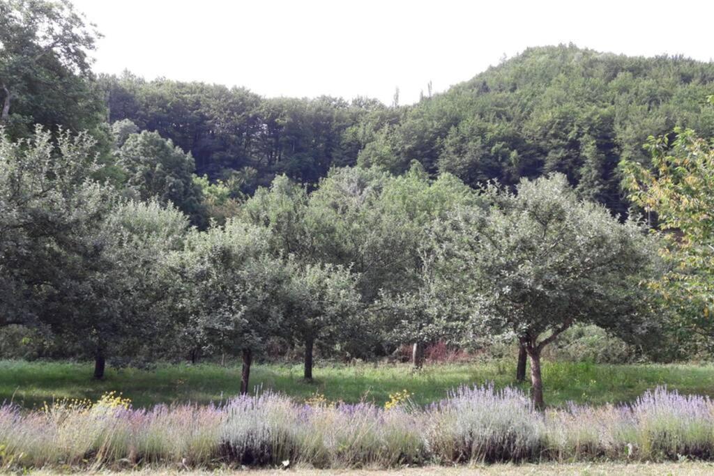 Gite "Entre Champsaur Et Valgodemard" Saint-Jacques-en-Valgodemard Екстериор снимка