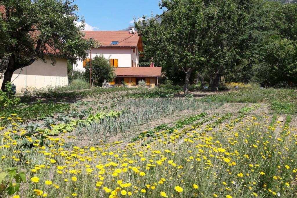 Gite "Entre Champsaur Et Valgodemard" Saint-Jacques-en-Valgodemard Екстериор снимка